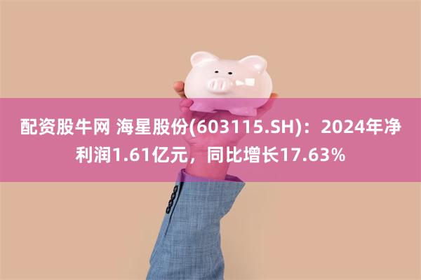 配资股牛网 海星股份(603115.SH)：2024年净利润1.61亿元，同比增长17.63%
