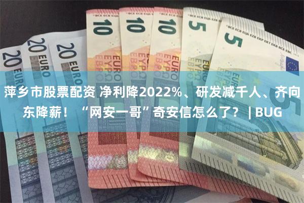 萍乡市股票配资 净利降2022%、研发减千人、齐向东降薪！ “网安一哥”奇安信怎么了？ | BUG