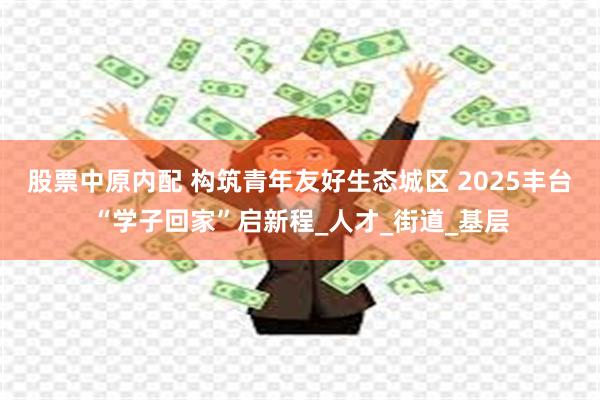 股票中原内配 构筑青年友好生态城区 2025丰台“学子回家”启新程_人才_街道_基层