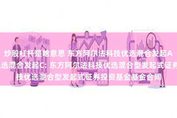 炒股杠杆是啥意思 东方阿尔法科技优选混合发起A,东方阿尔法科技优选混合发起C: 东方阿尔法科技优选混合型发起式证券投资基金基金合同