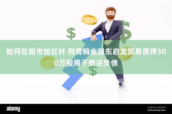 如何在股市加杠杆 翔鹭钨业股东启龙贸易质押300万股用于偿还负债