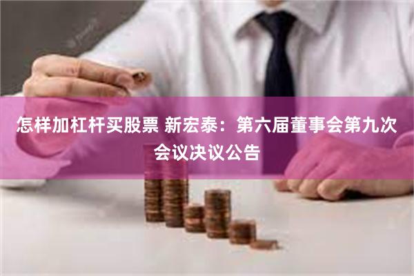 怎样加杠杆买股票 新宏泰：第六届董事会第九次会议决议公告