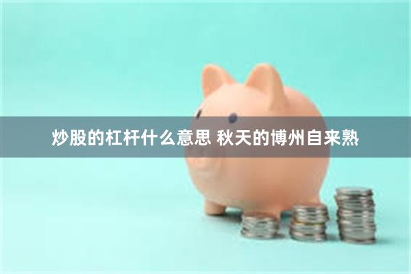 炒股的杠杆什么意思 秋天的博州自来熟