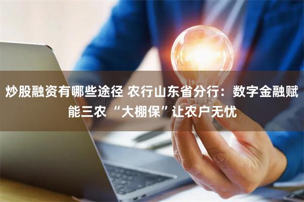 炒股融资有哪些途径 农行山东省分行：数字金融赋能三农 “大棚保”让农户无忧