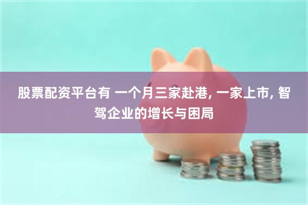 股票配资平台有 一个月三家赴港, 一家上市, 智驾企业的增长与困局